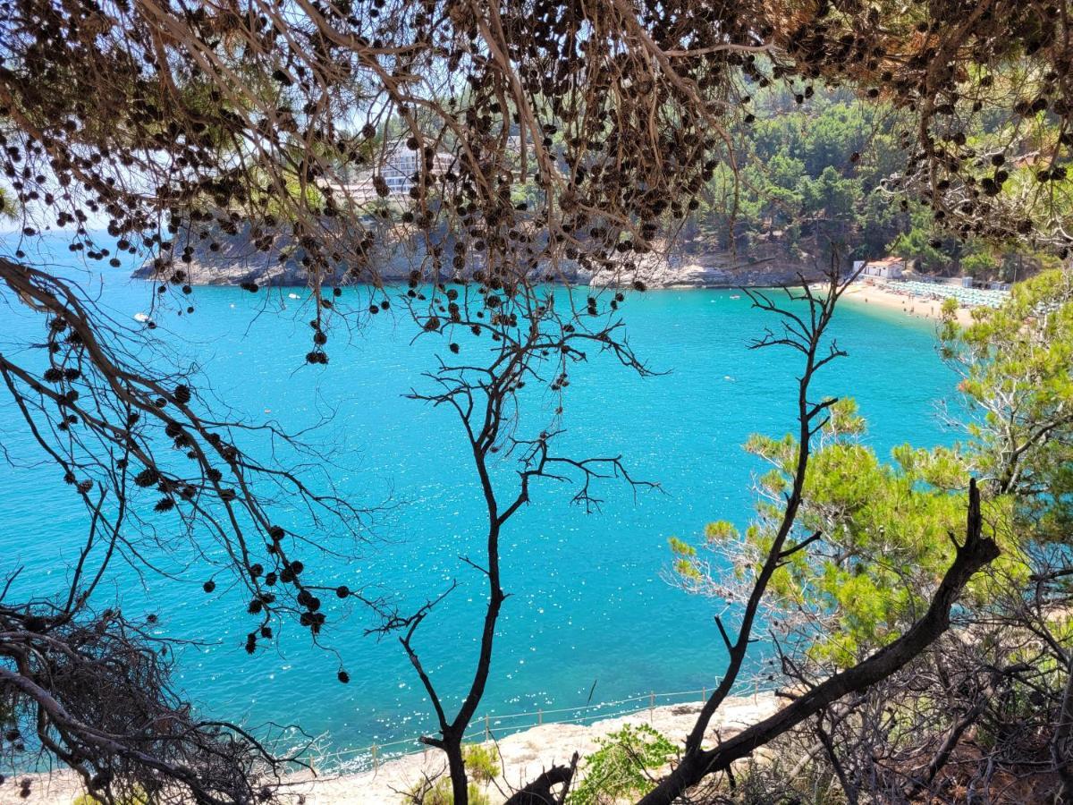 Villetta Roberto Le Macine Di Charme - Pugnochiuso Resort Vieste Exteriör bild