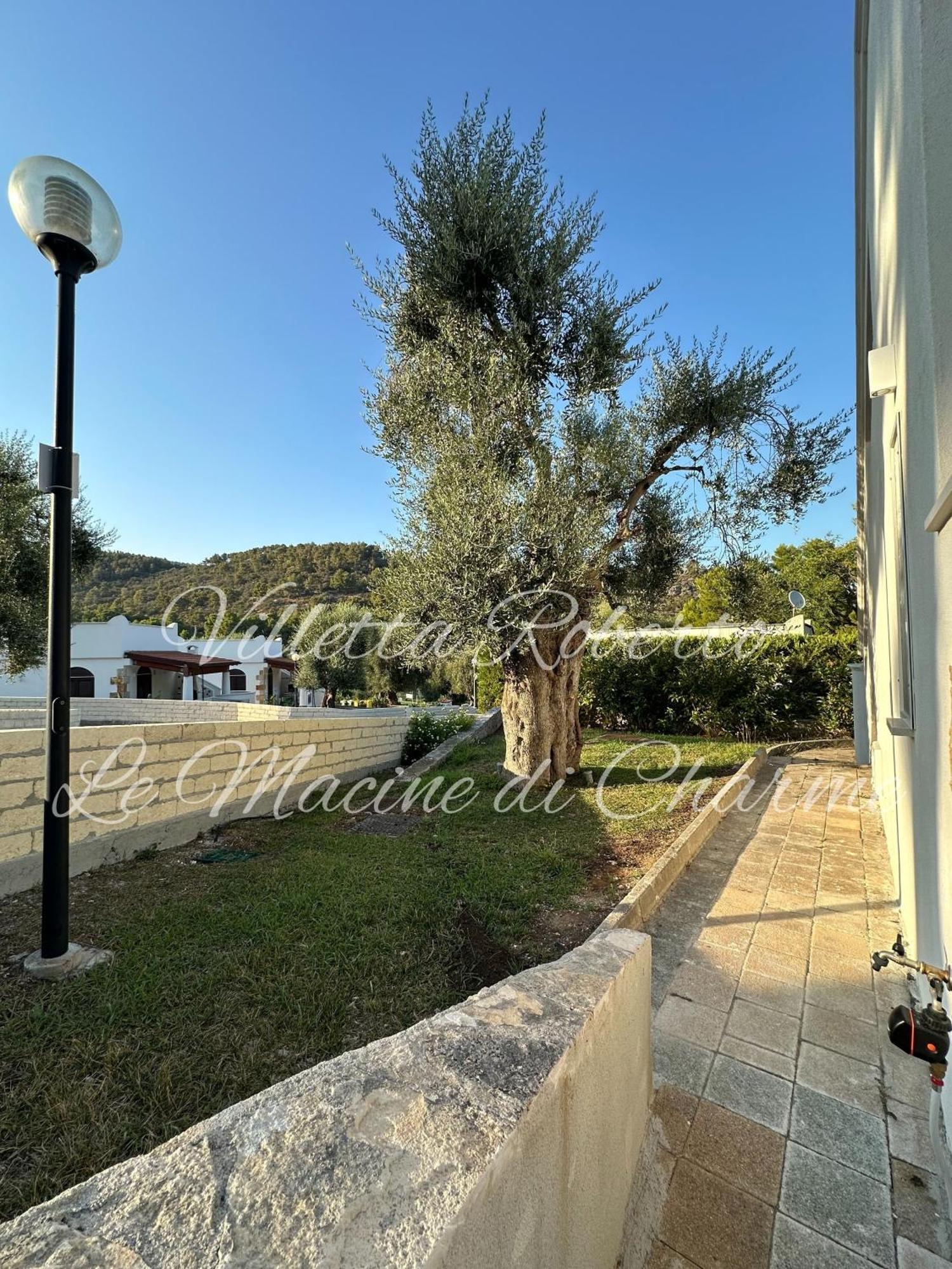 Villetta Roberto Le Macine Di Charme - Pugnochiuso Resort Vieste Exteriör bild
