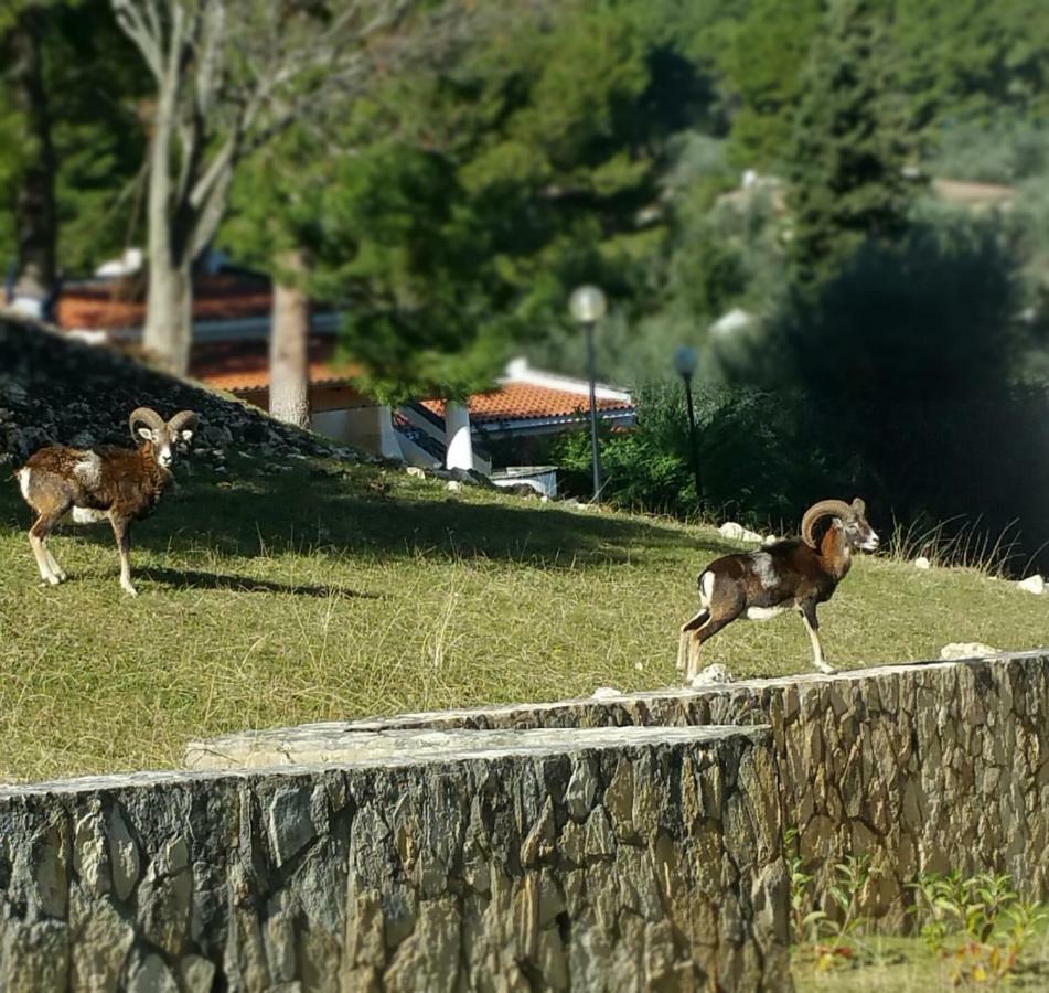 Villetta Roberto Le Macine Di Charme - Pugnochiuso Resort Vieste Exteriör bild
